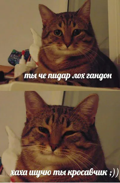 Ты чё, пидар, лох, гандон