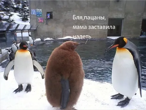 Мама заставила надеть