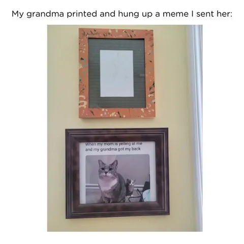 Grandma Hangs Up a Meme