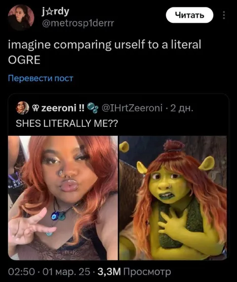 Comparing Yourself to an Ogre