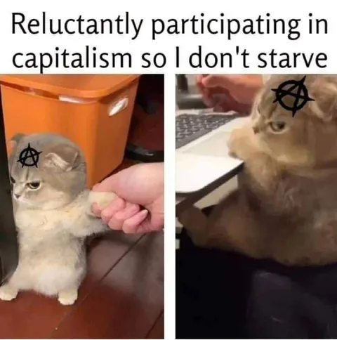 Reluctantly Participating in Capitalism