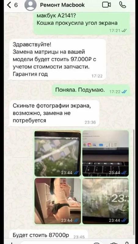 Кошка прокусила угол экрана