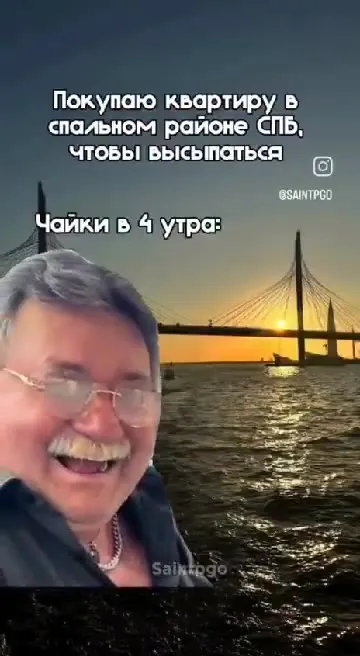 Чайки в четыре утра
