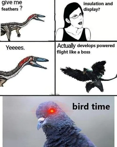 Bird Evolves Powered Flight