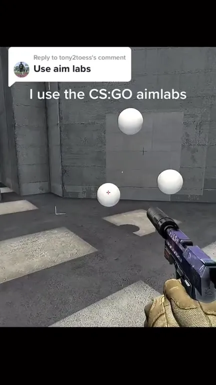 I use the CS:GO aimlabs