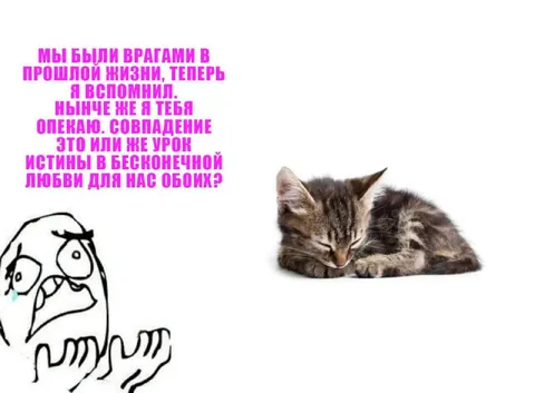Мы были врагами в прошлой жизни