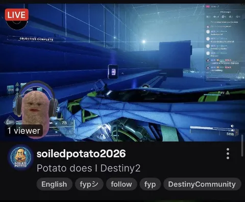 Potato Streams Destiny 2 to One Viewer