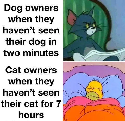 Dog Owners vs Cat Owners