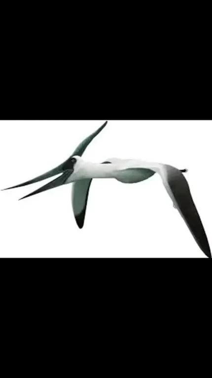Woman Turns Into a Pteranodon