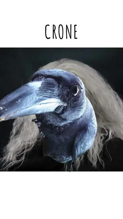 How to Count Crows
