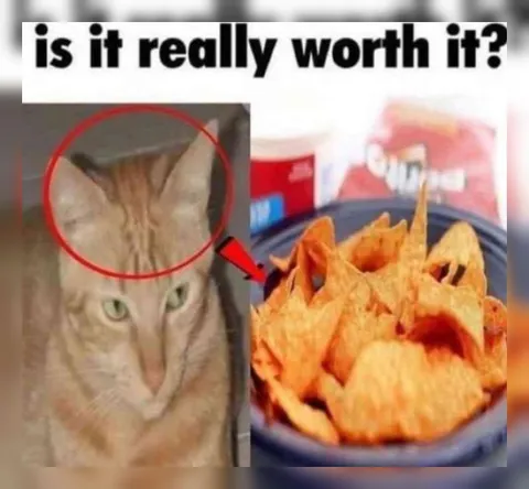 Is It Really Worth It?