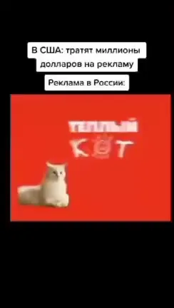 Реклама тёплого кота