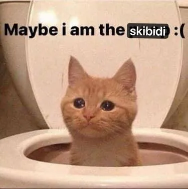 Maybe I Am the Skibidi Cat