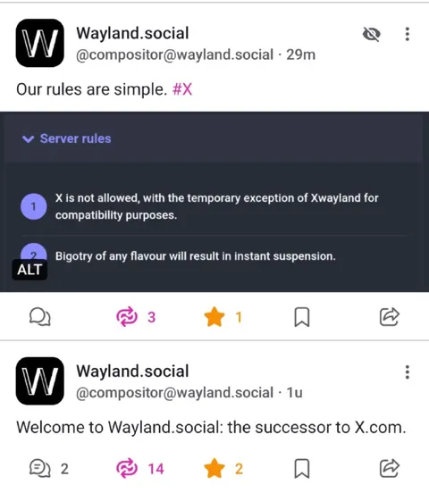 Wayland Social Rules
