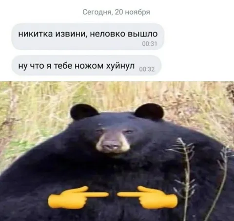 Никитка, извини, неловко вышло