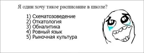 Желаемое расписание в школе