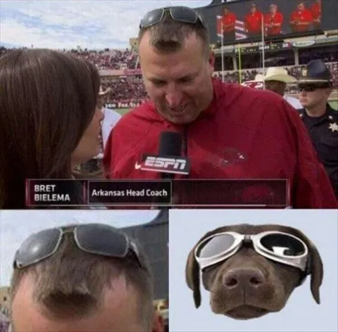 Bret Bielema Looks Like a Dog