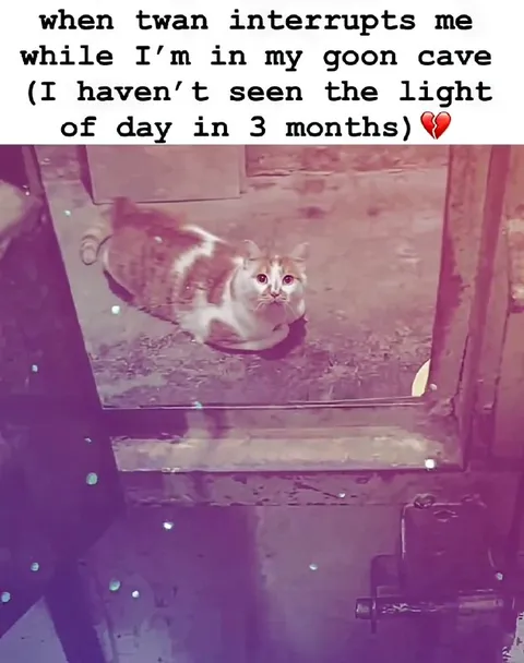 Cat Interrupts the Gamer Cave