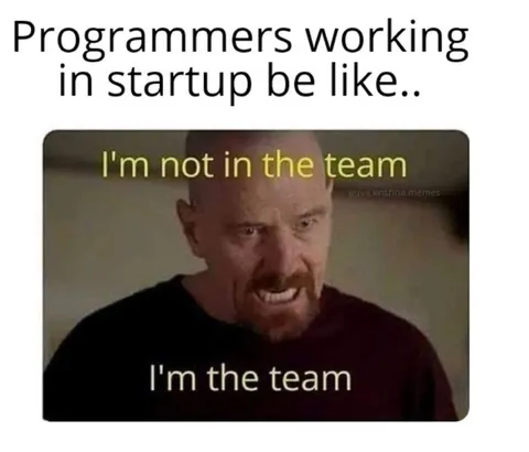 Startup Programmer Is the Team