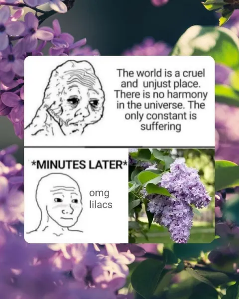 Doomer Discovers Lilacs