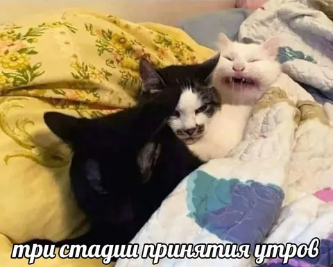 Три стадии принятия утров