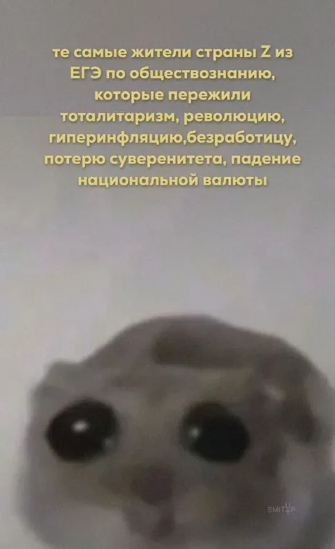 Жители страны Z после ЕГЭ