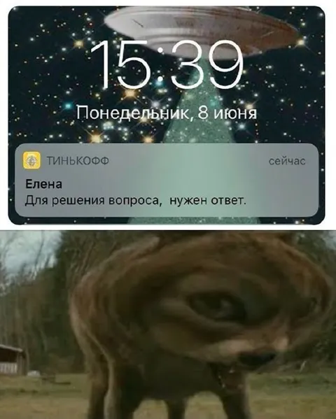 Для решения вопроса нужен ответ