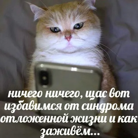 Синдром отложенной жизни