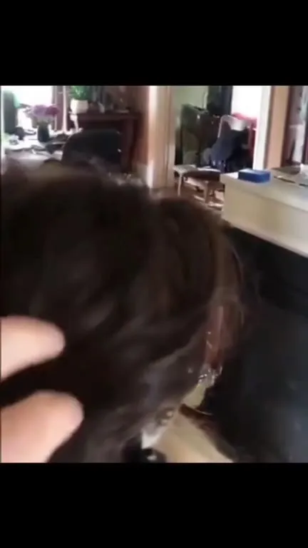 Кот с причёской из волос
