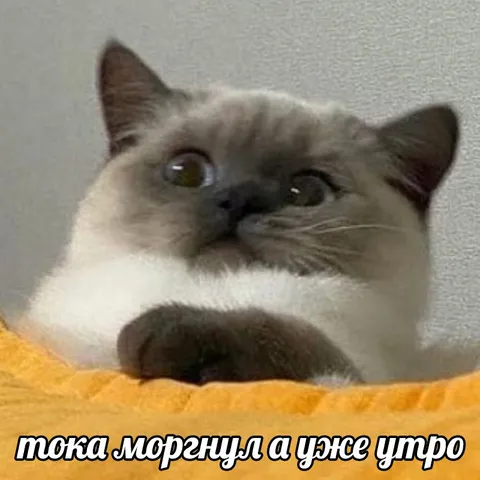 Тока моргнул — а уже утро