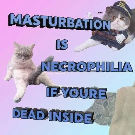 Masturbation Is Necrophilia