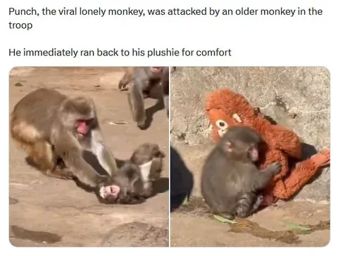 Punch Runs to His Plushie