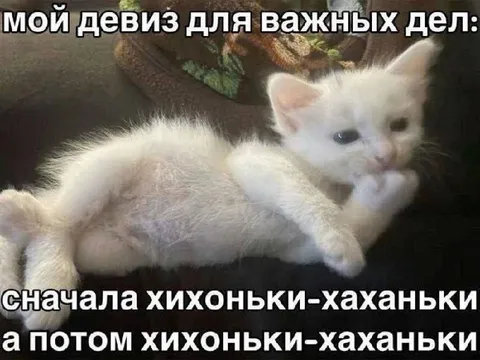 Девиз для важных дел