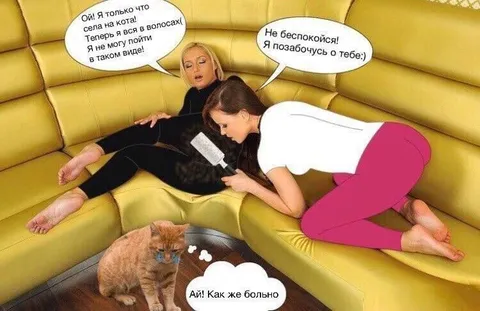 Села на кота и вся в волосах