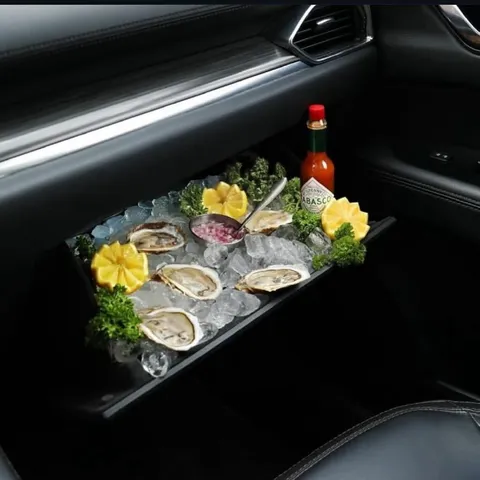 Oysters in the Car