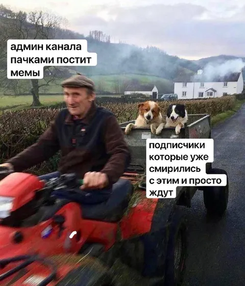 Админ пачками постит мемы