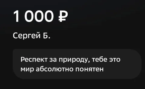 Перевод с уважением к природе
