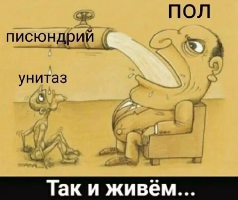 Так и живём с унитазом