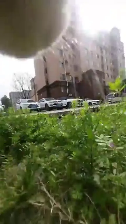 Камера путешествует по двору