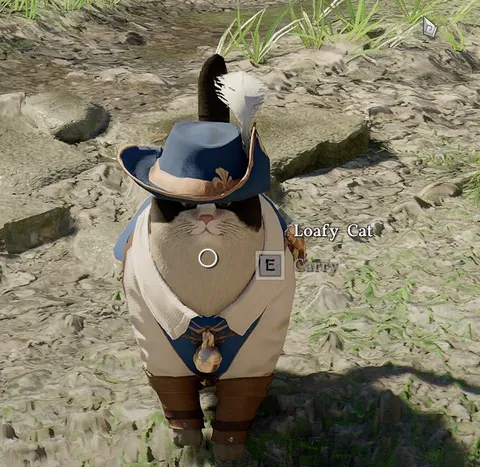 Cowboy Cat Waiting to Be Carried
