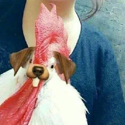 Собака с нелепым языком