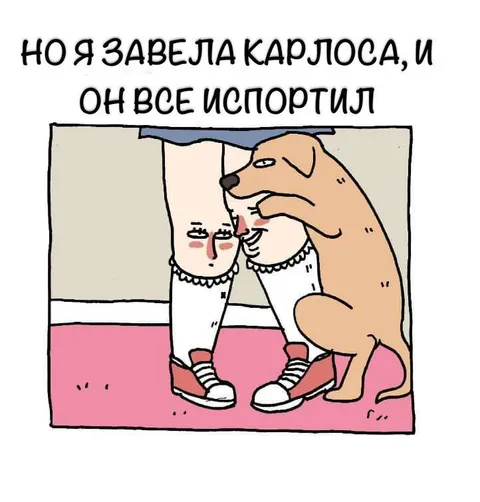 Я завела Карлоса, и он всё испортил