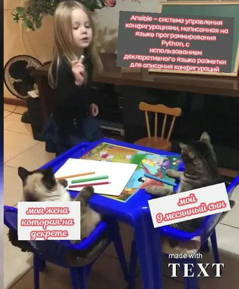 Жена в декрете и сын-программист