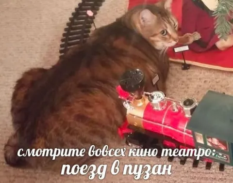 Поезд в пузан