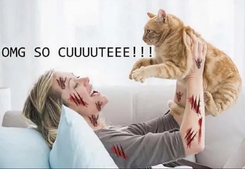 OMG So Cuuuuute