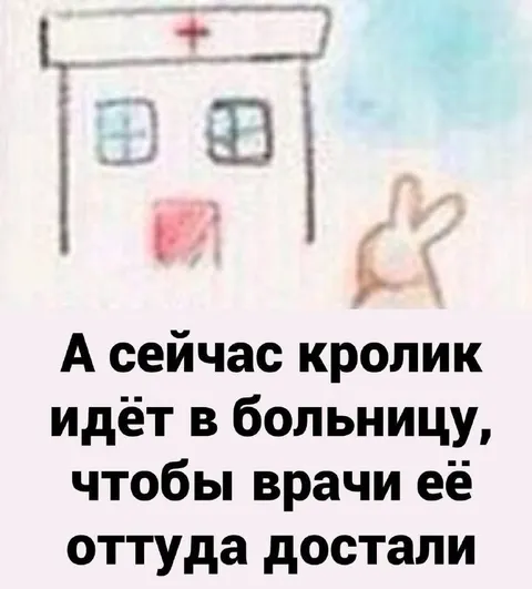Кролик идёт в больницу