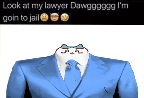 Look at My Lawyer Dawg