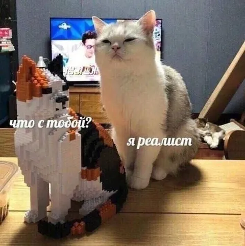 Кот-реалист и пиксельный мир