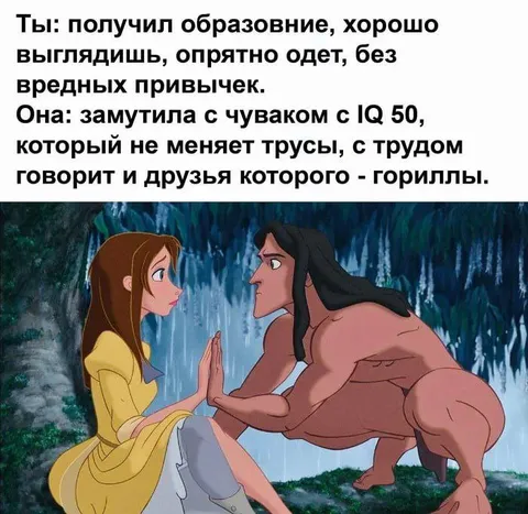Образованный против настоящего мачо