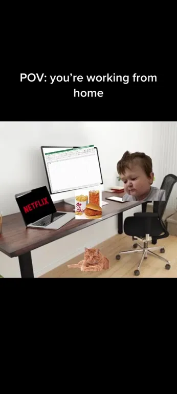 POV: Working From Home